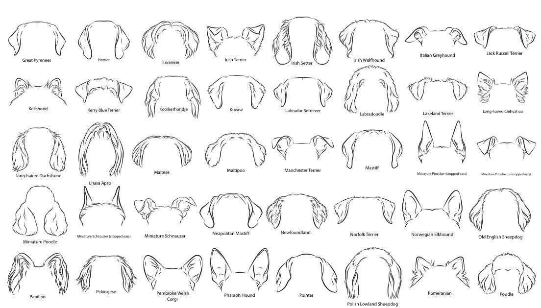 Dog Ears Engraved Necklace Silver Rectangle Charm